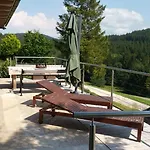 Vakantiehuis Alm On Mondsee Mountain, Pets Welcome!