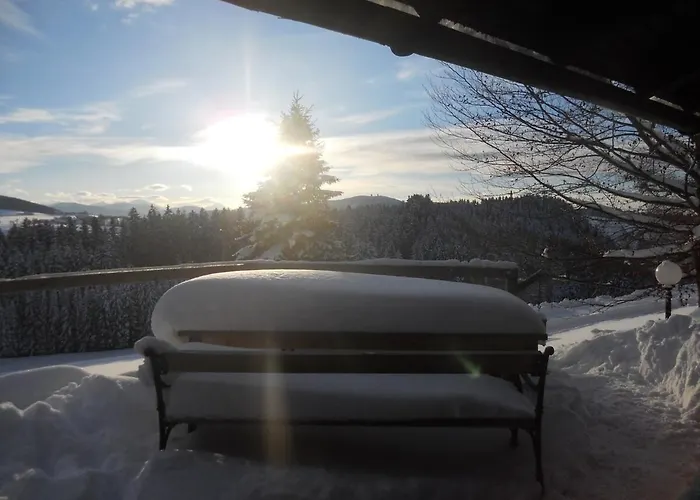 Alm On Mondsee Mountain, Pets Welcome! Zell am Moos