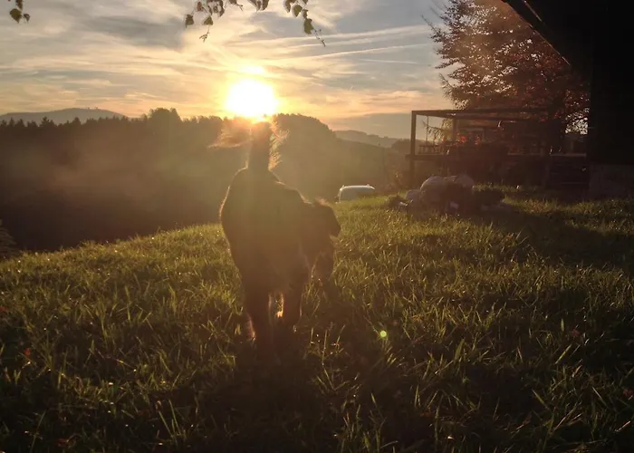 Alm On Mondsee Mountain, Pets Welcome! *