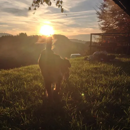 Alm On Mondsee Mountain, Pets Welcome! *