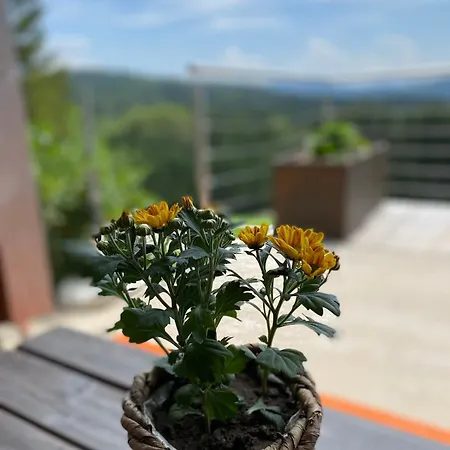 Alm On Mondsee Mountain, Pets Welcome!